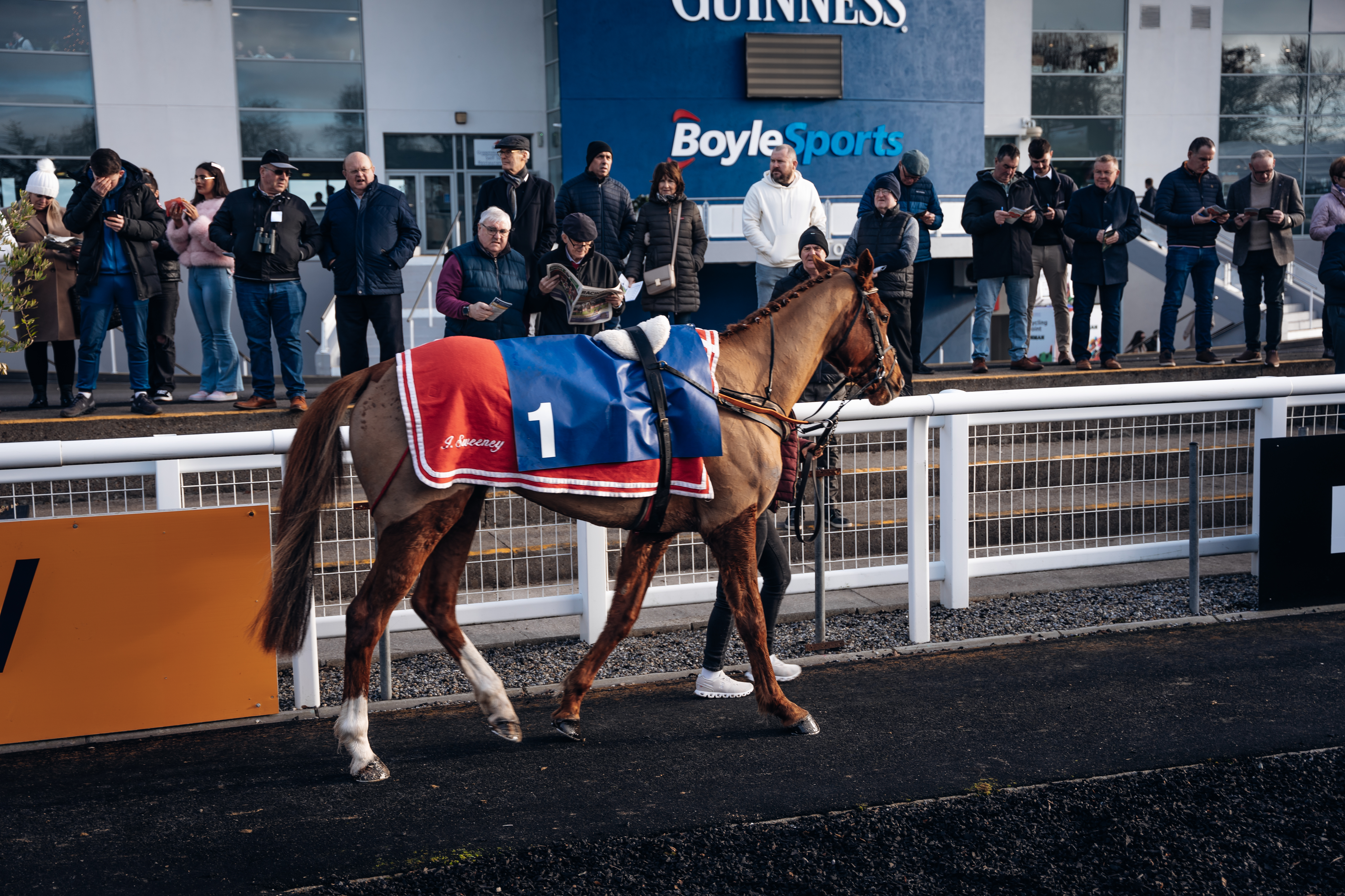 Cheltenham Preview Night